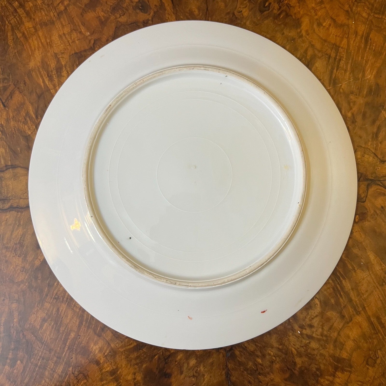 Hand Painted Plate