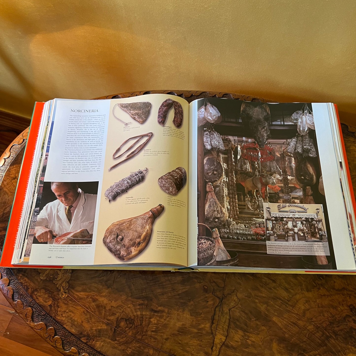 Culinaria Italy: Pasta, Pesto, Passion! HC/DJ Cookbook by Claudia Piras