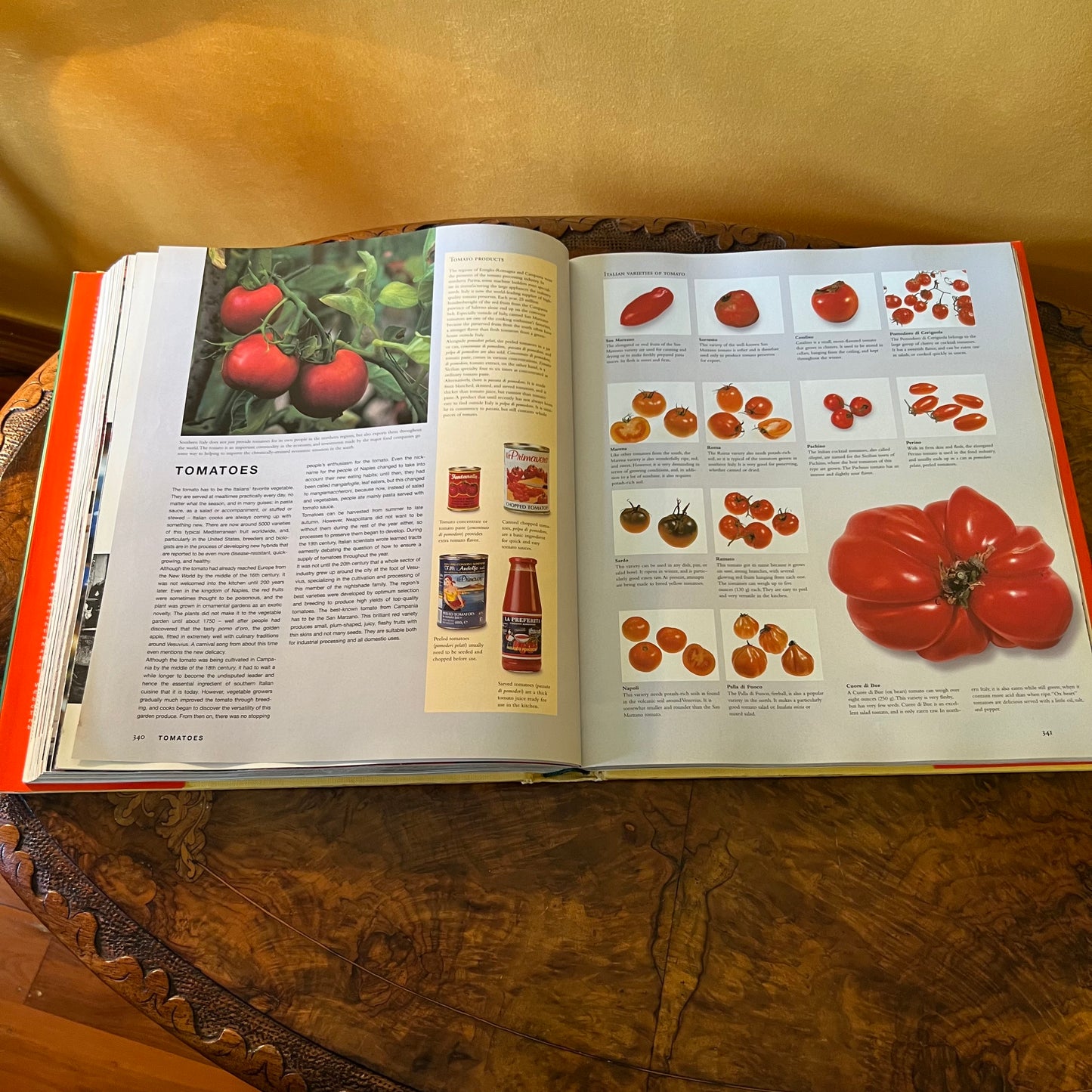 Culinaria Italy: Pasta, Pesto, Passion! HC/DJ Cookbook by Claudia Piras
