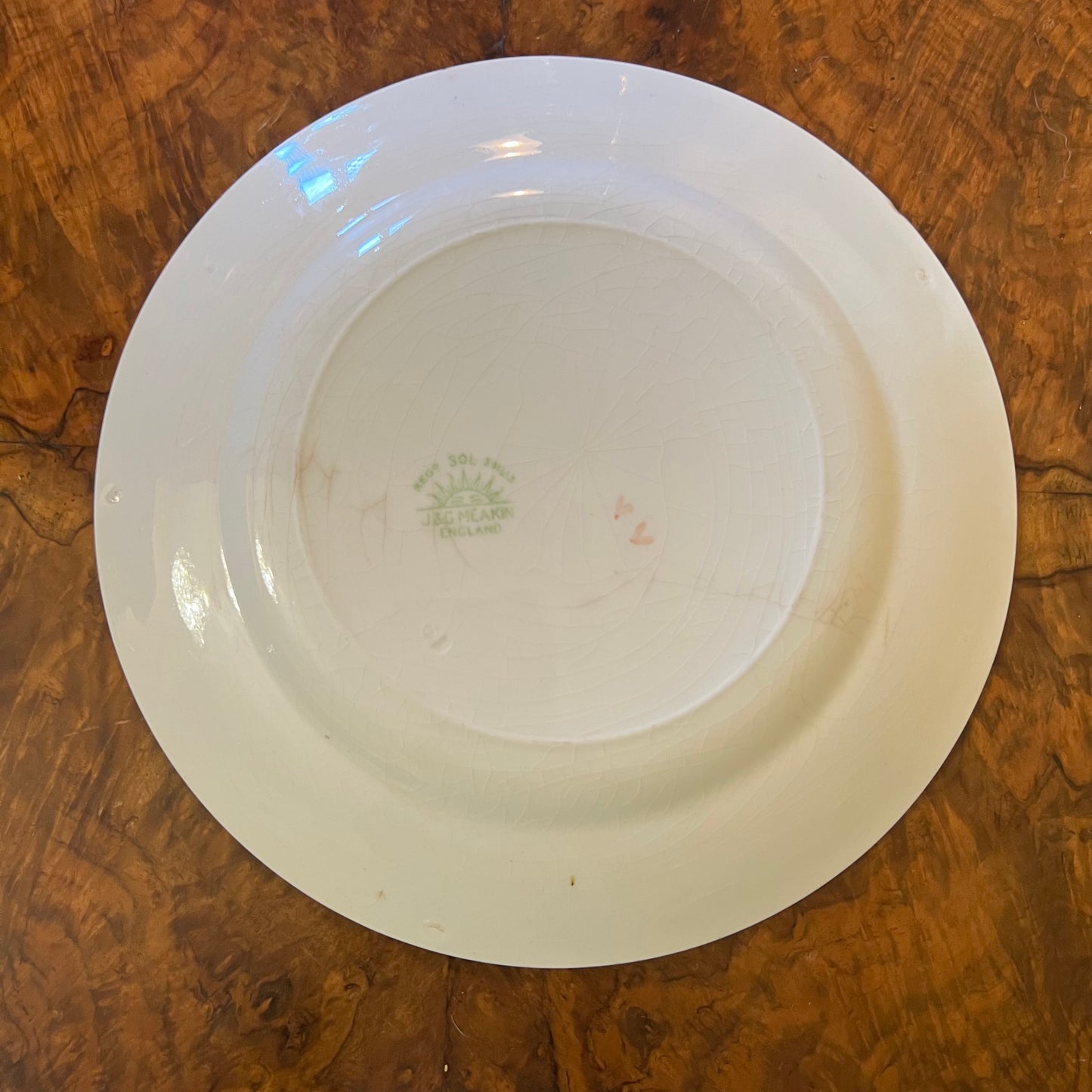 Vintage J & G Meakin Rosedale Dinner Plate