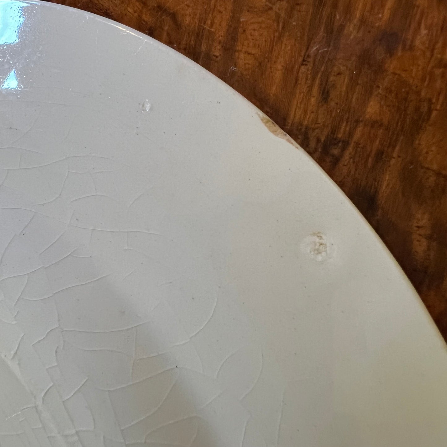Vintage J & G Meakin Rosedale Dinner Plate