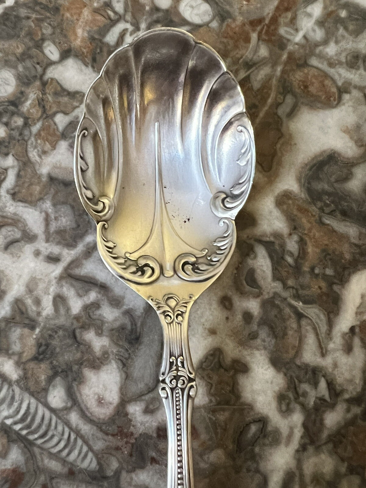 Roger Bros 1847 Silver Plated Spoon
