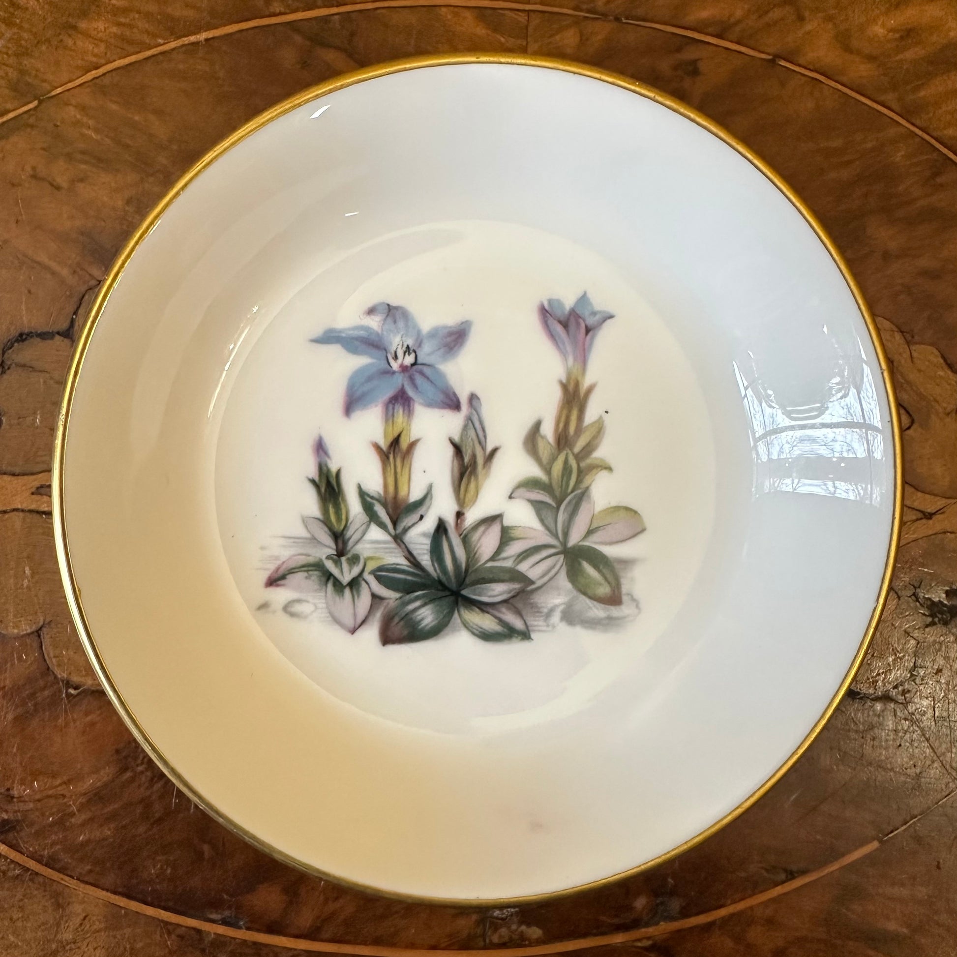 Royal Worcester Blue Gentian Small Dish