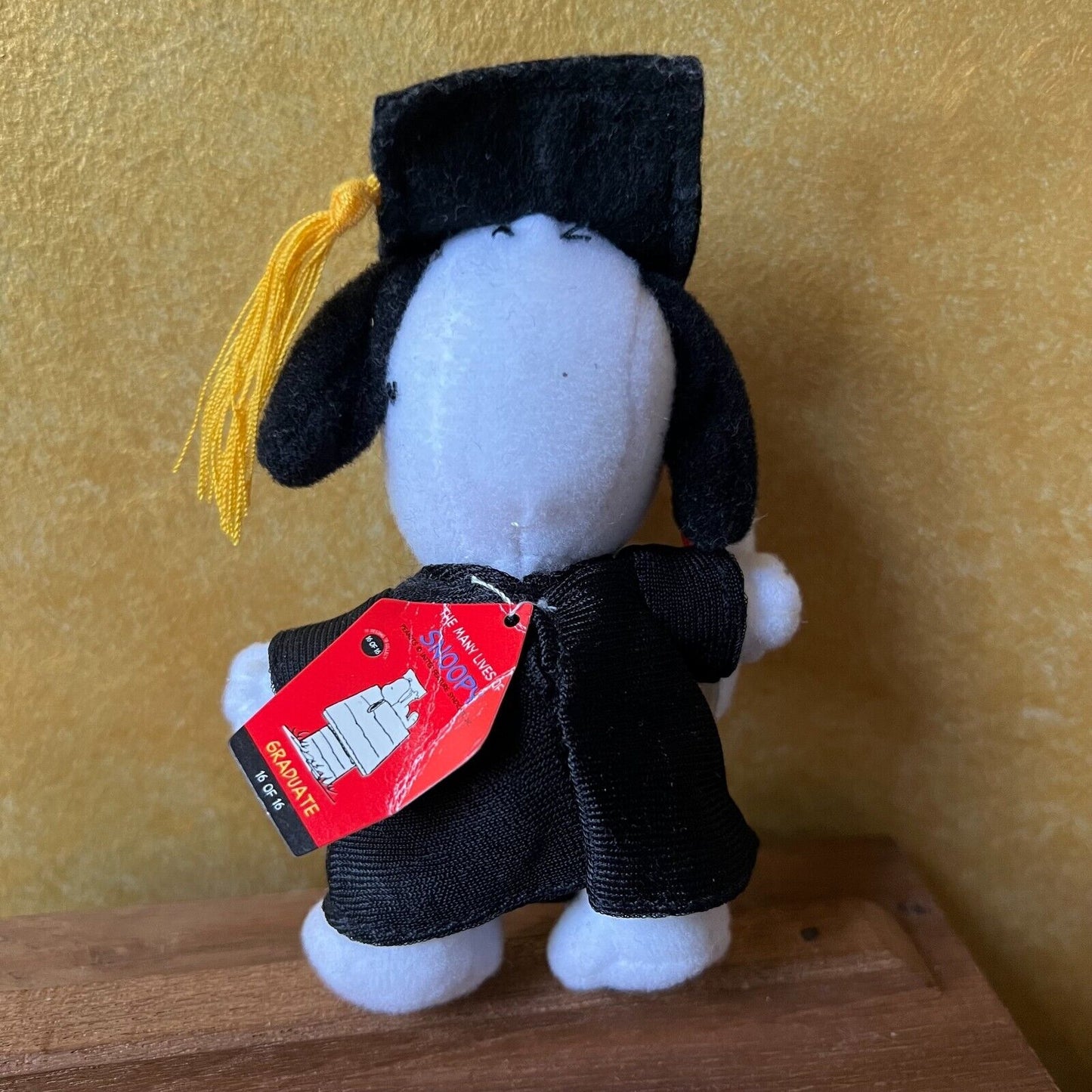 Snoopy Graduate