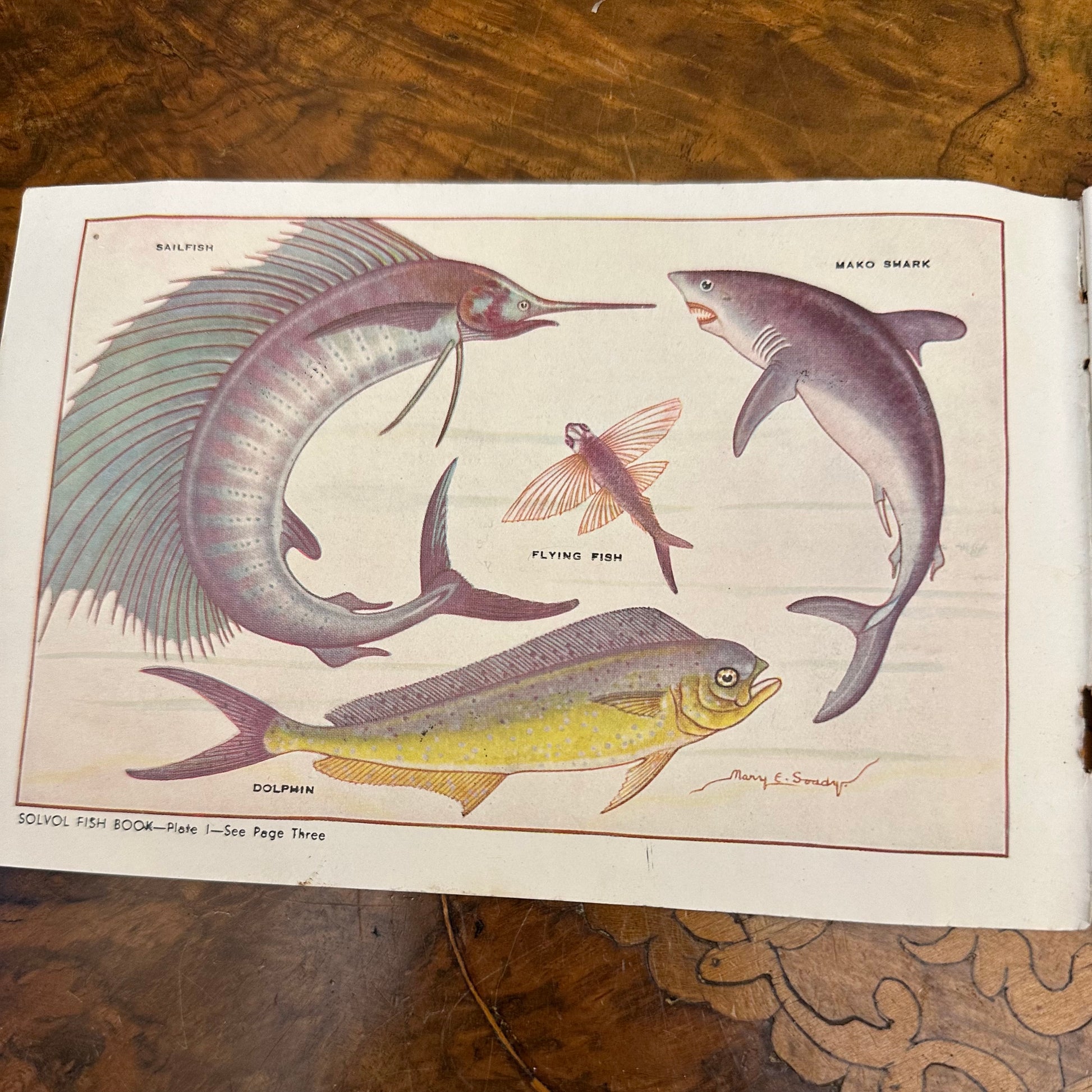 Solvol Fish Paper Book