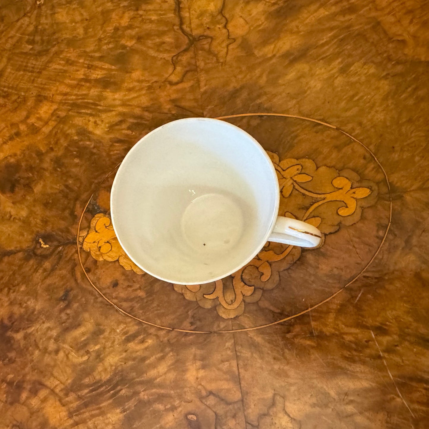 Superior Duck Floral Print Cup