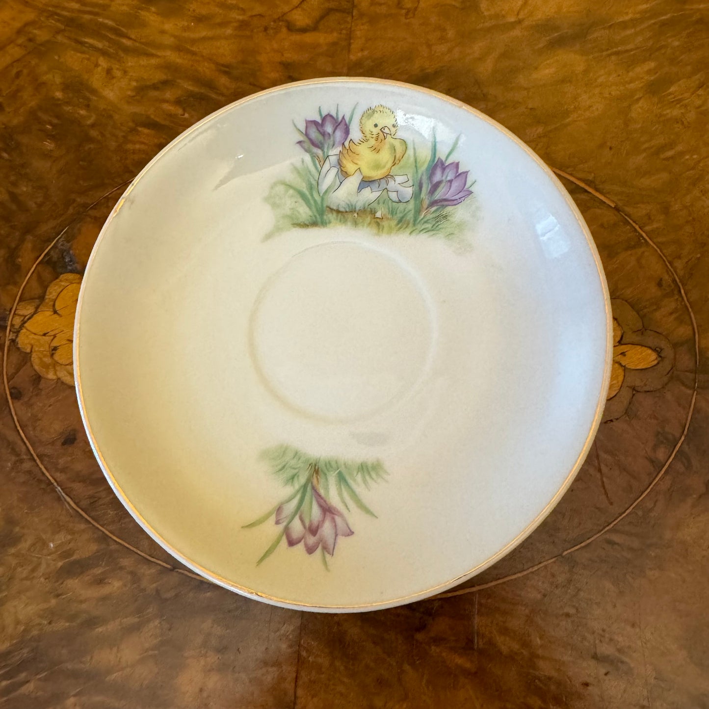 Superior Duck Floral Print Saucer