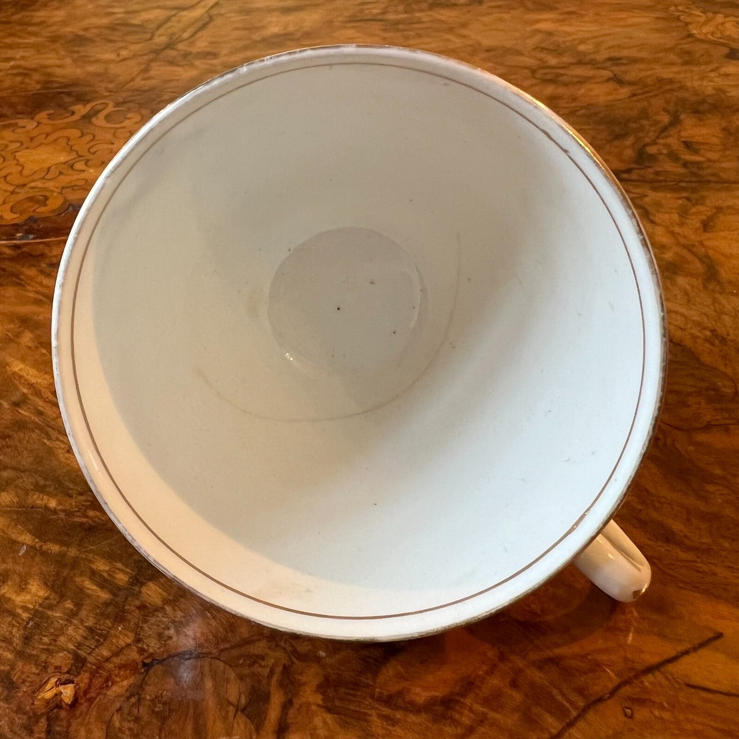 Tuscan Bird Print Tea Cup