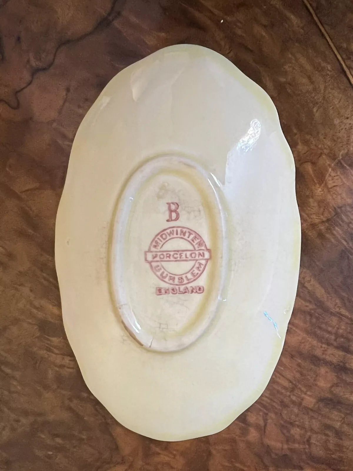Vintage Midwinter Royal Porcelain