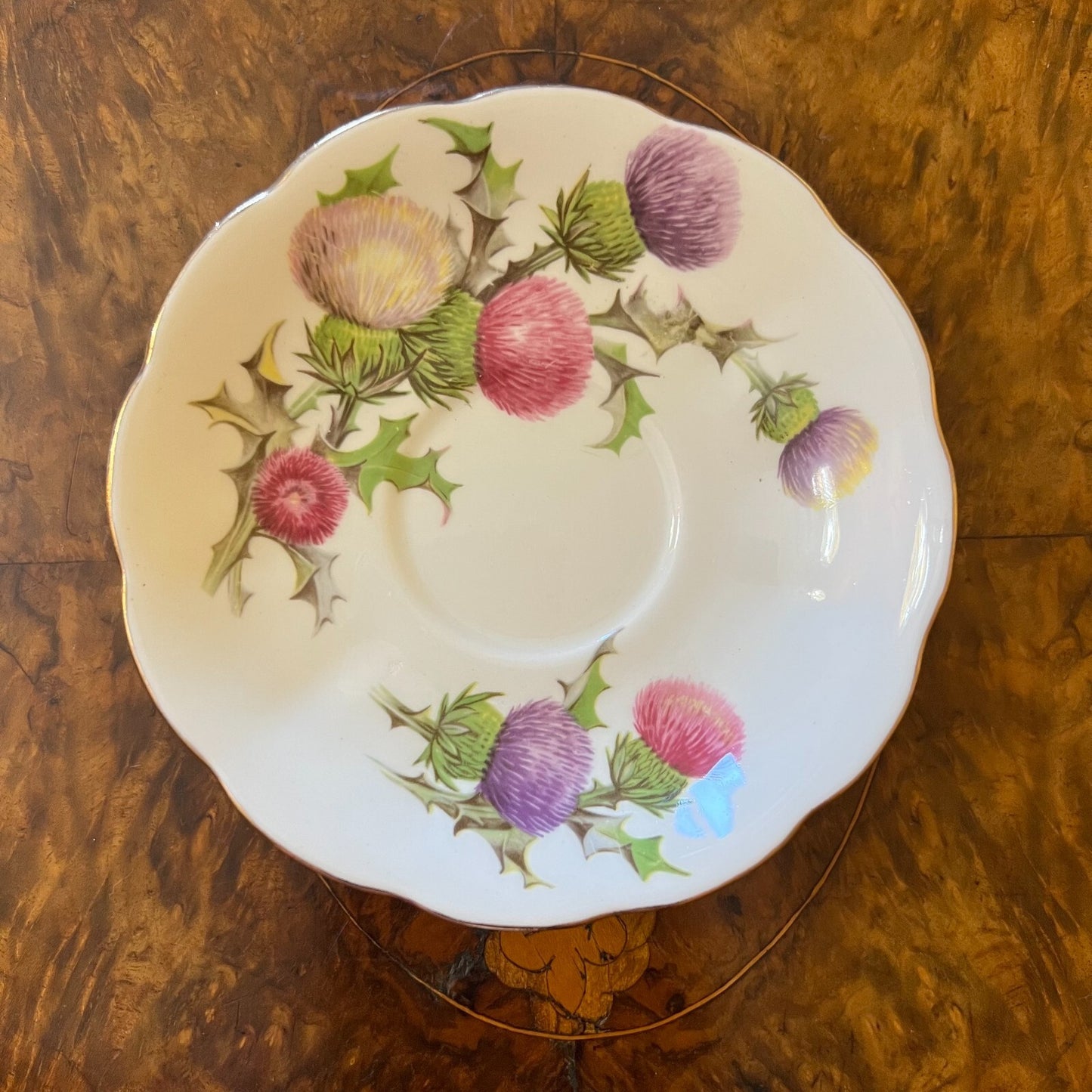 Vintage Queen Anne Dundee Thistle Tea Saucer