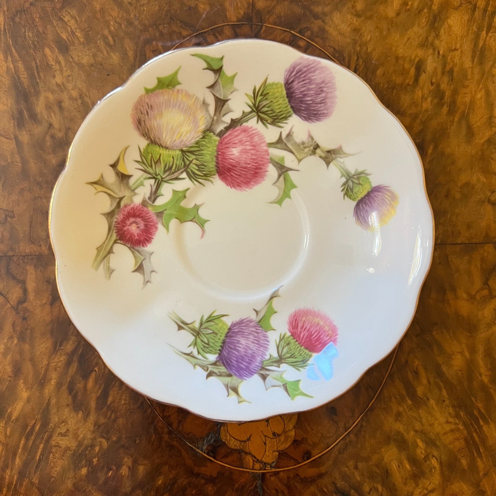 Vintage Queen Anne Dundee Thistle Tea Saucer