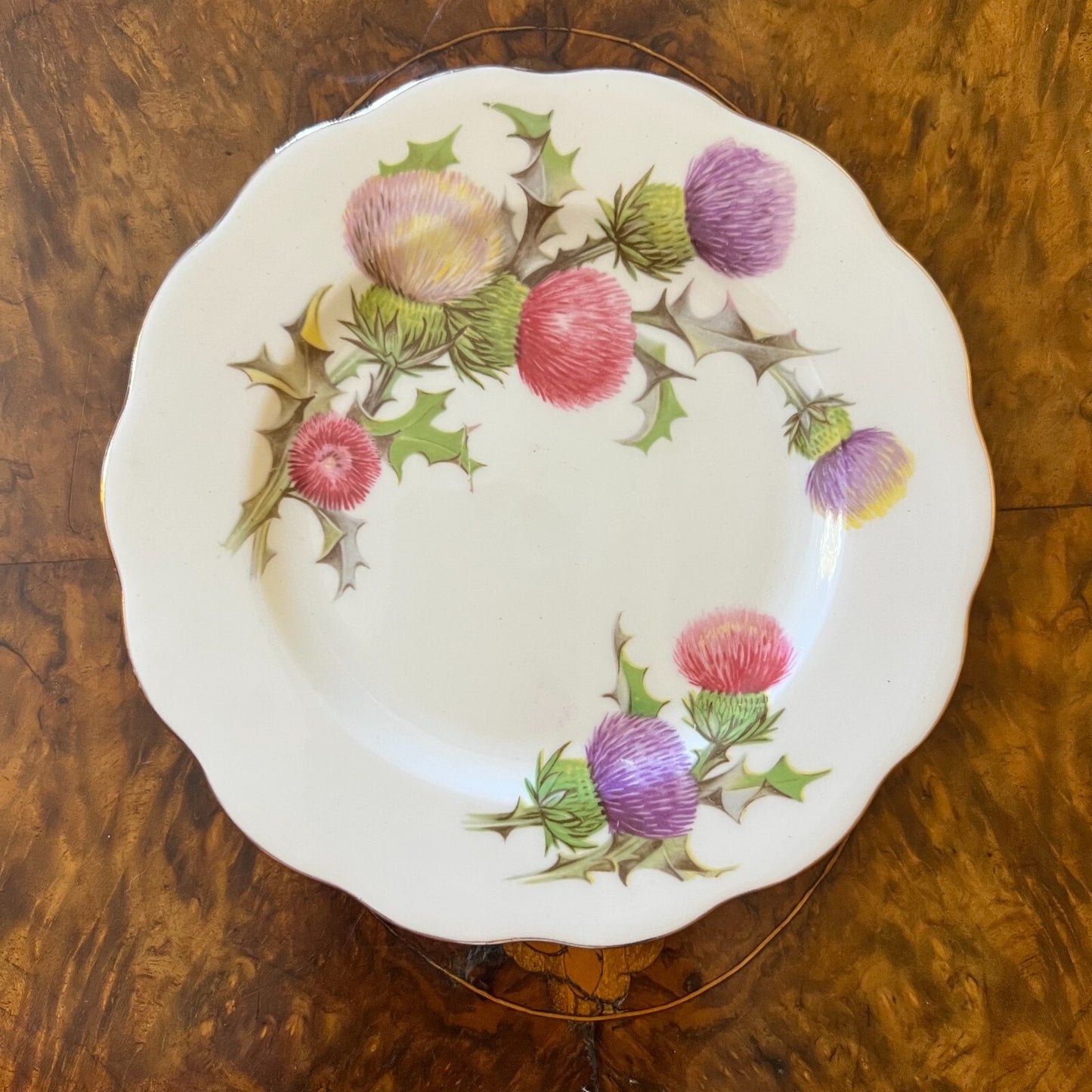 Vintage Queen Anne Dundee Thistle Tea Side Plate