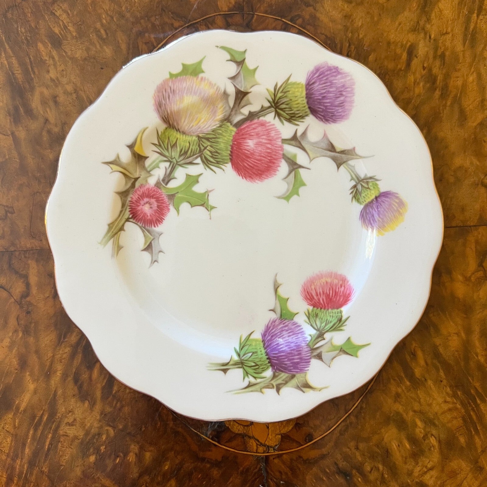 Vintage Queen Anne Dundee Thistle Tea Side Plate