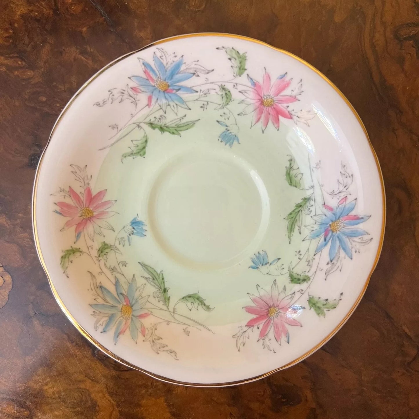 Vintage Royal Grafton Summer_s Day Saucer