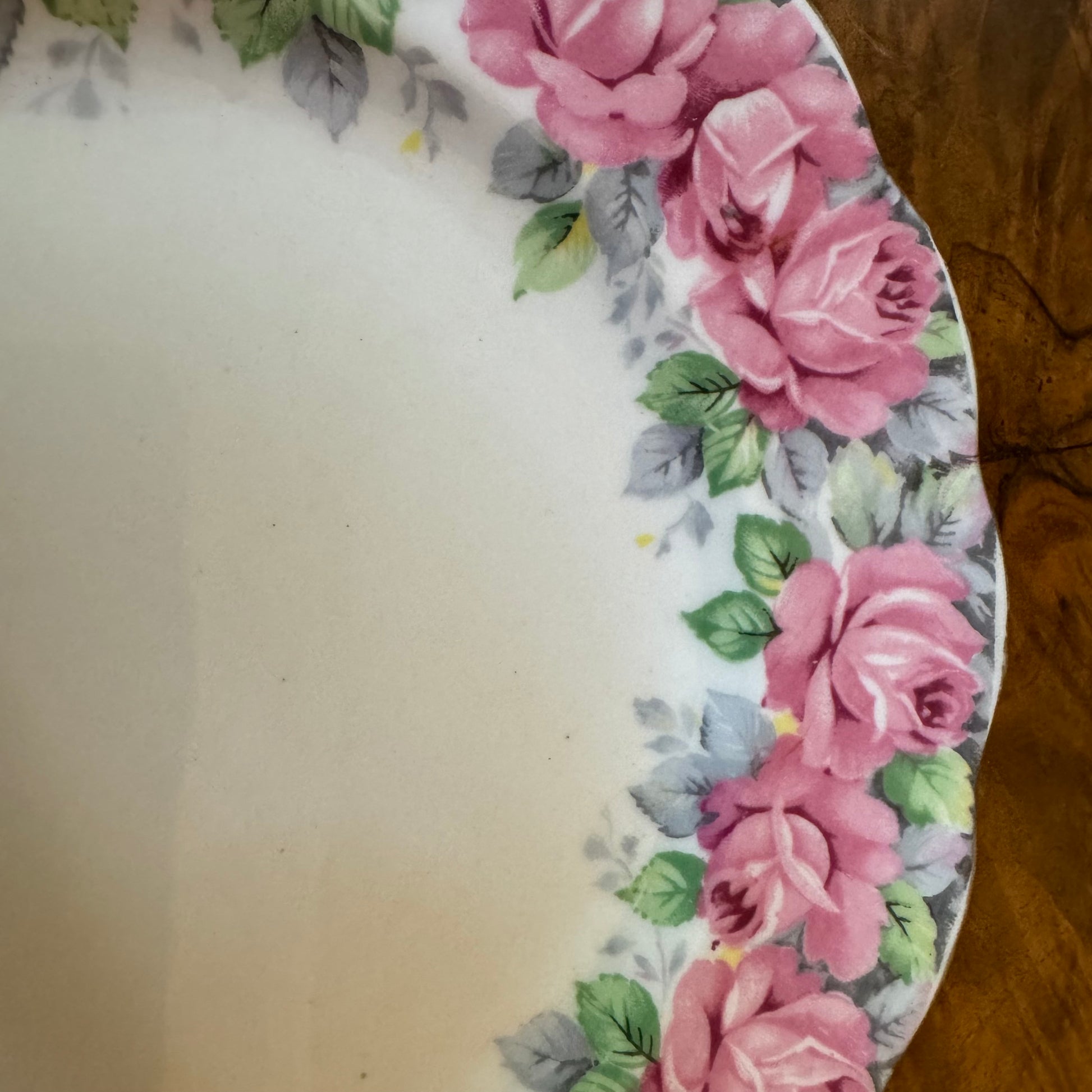 Vintage Royal Standard Rose of Sharon