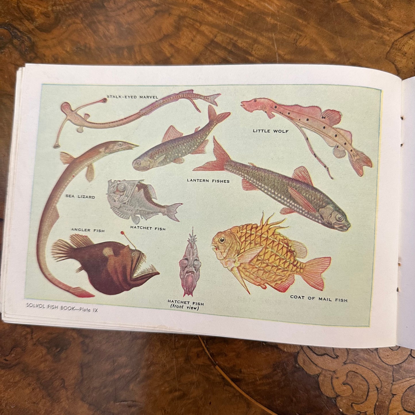 Vintage Solvol Fish Book Paper