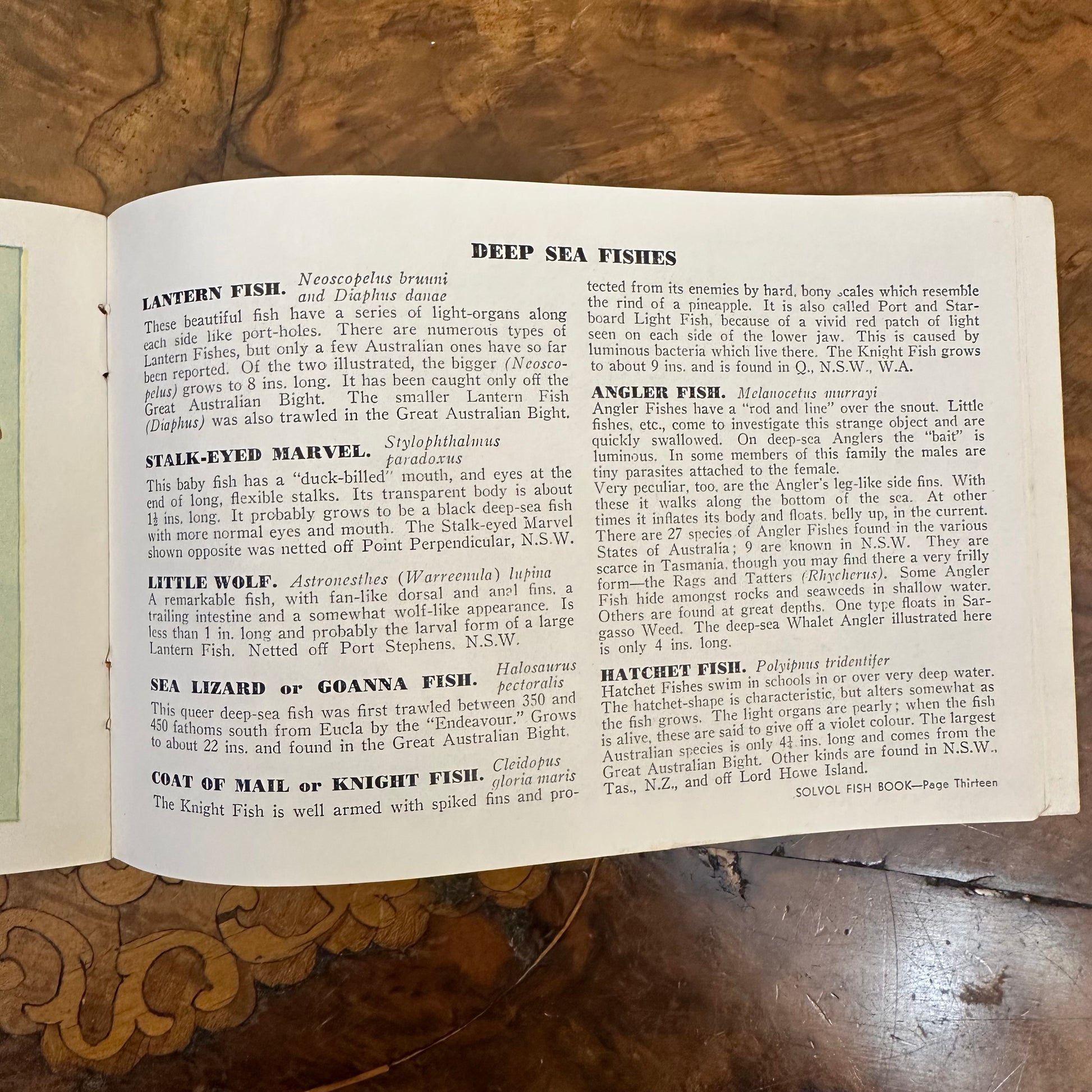 Vintage Solvol Fish Book Paper 1940s
