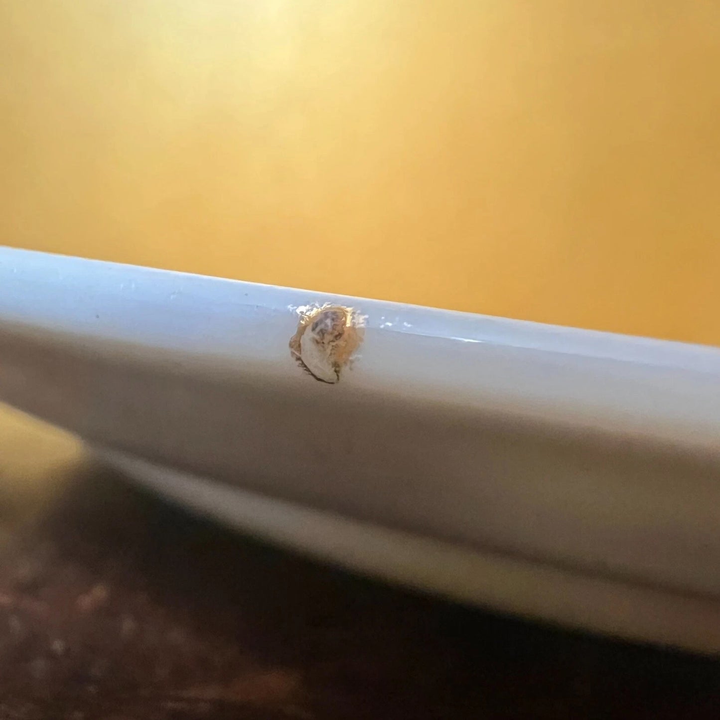 Vintage Melba Side Plate