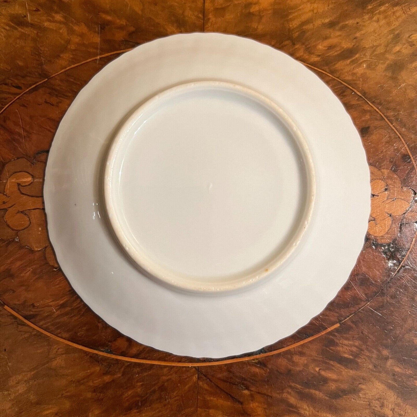Antique Pearl Lustreware Czech Tea Cup & Saucer