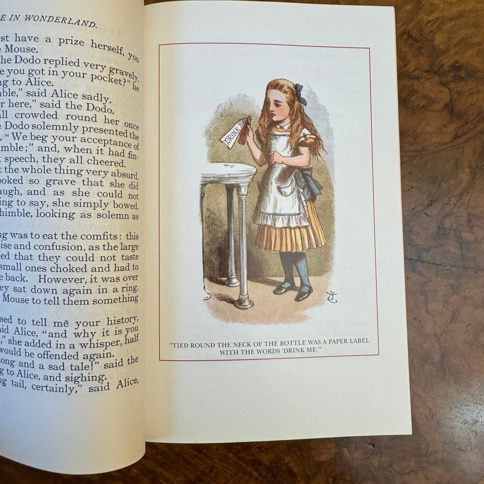 Alice in Wonderland and Through the Looking Glass by Lewis arroll (Author), Camille Paglia 