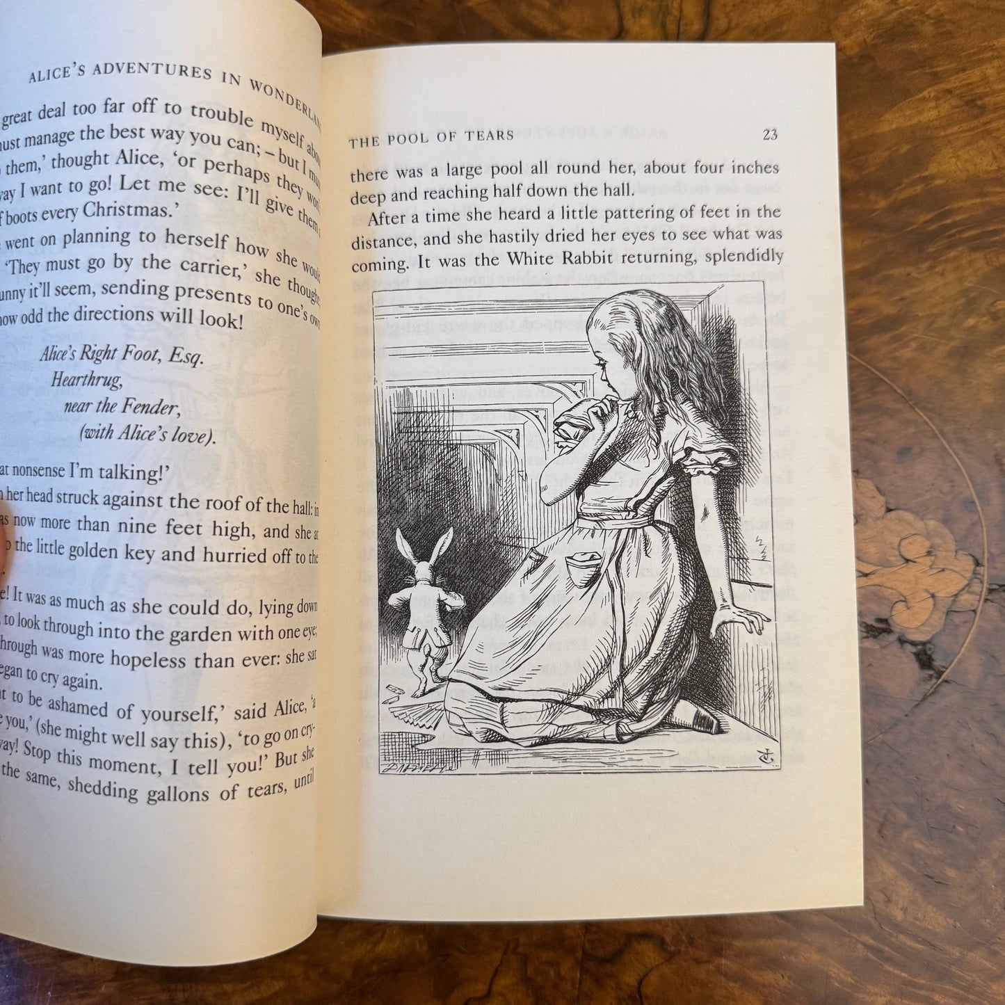 Alice's Adventures In Wonderland By Lewis Carrol  Book 