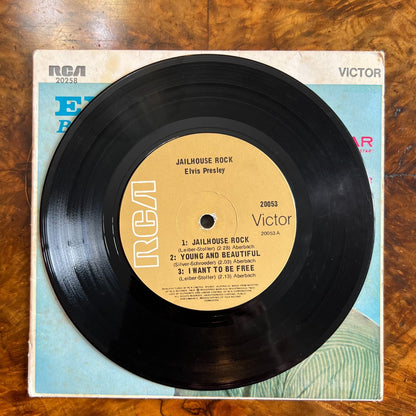 Elvis Presley Flaming Star Vinyl 