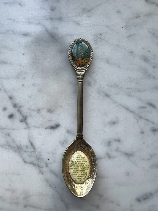Great Barrier Reef Tea Spoon