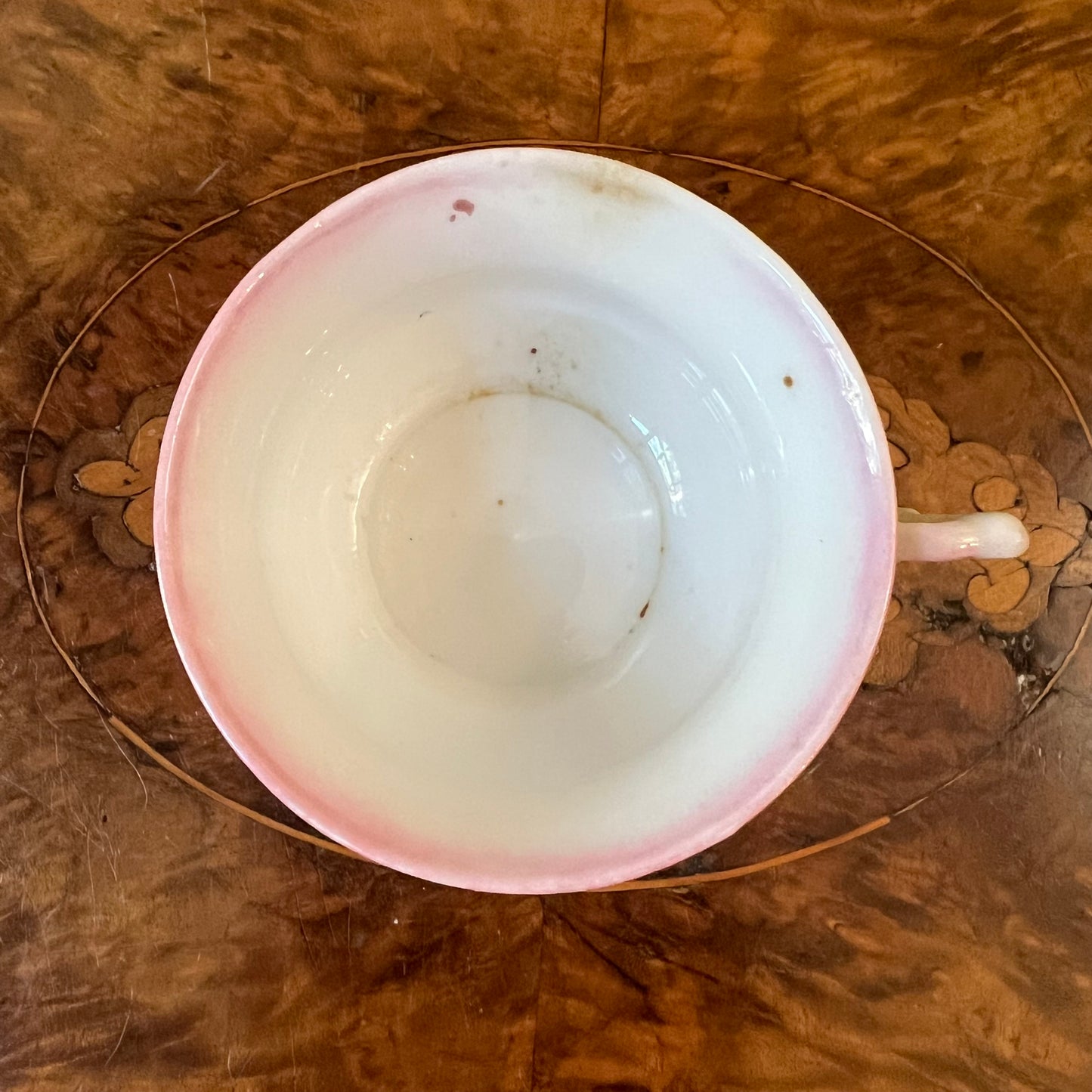 Vintage Pink Rose Tea Cup