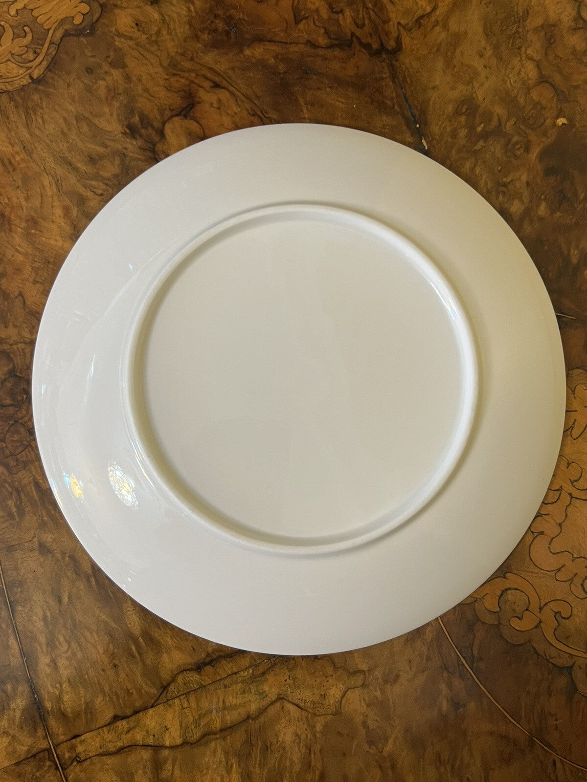 Petaurus Breviceps Sugar Glider Plate 