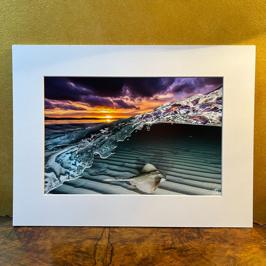 Rays of The Bay Photograph Print By Jordan Robins 