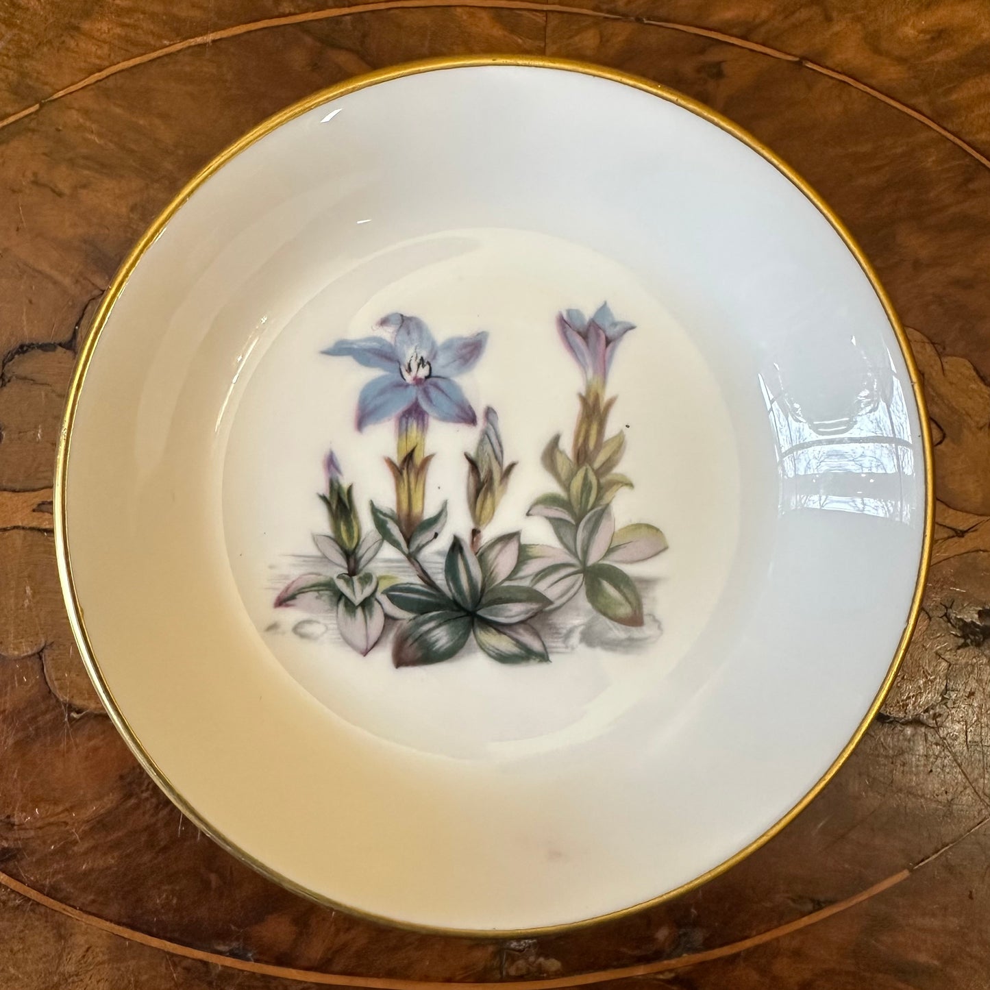 Royal Worcester Blue Gentian Small Dish