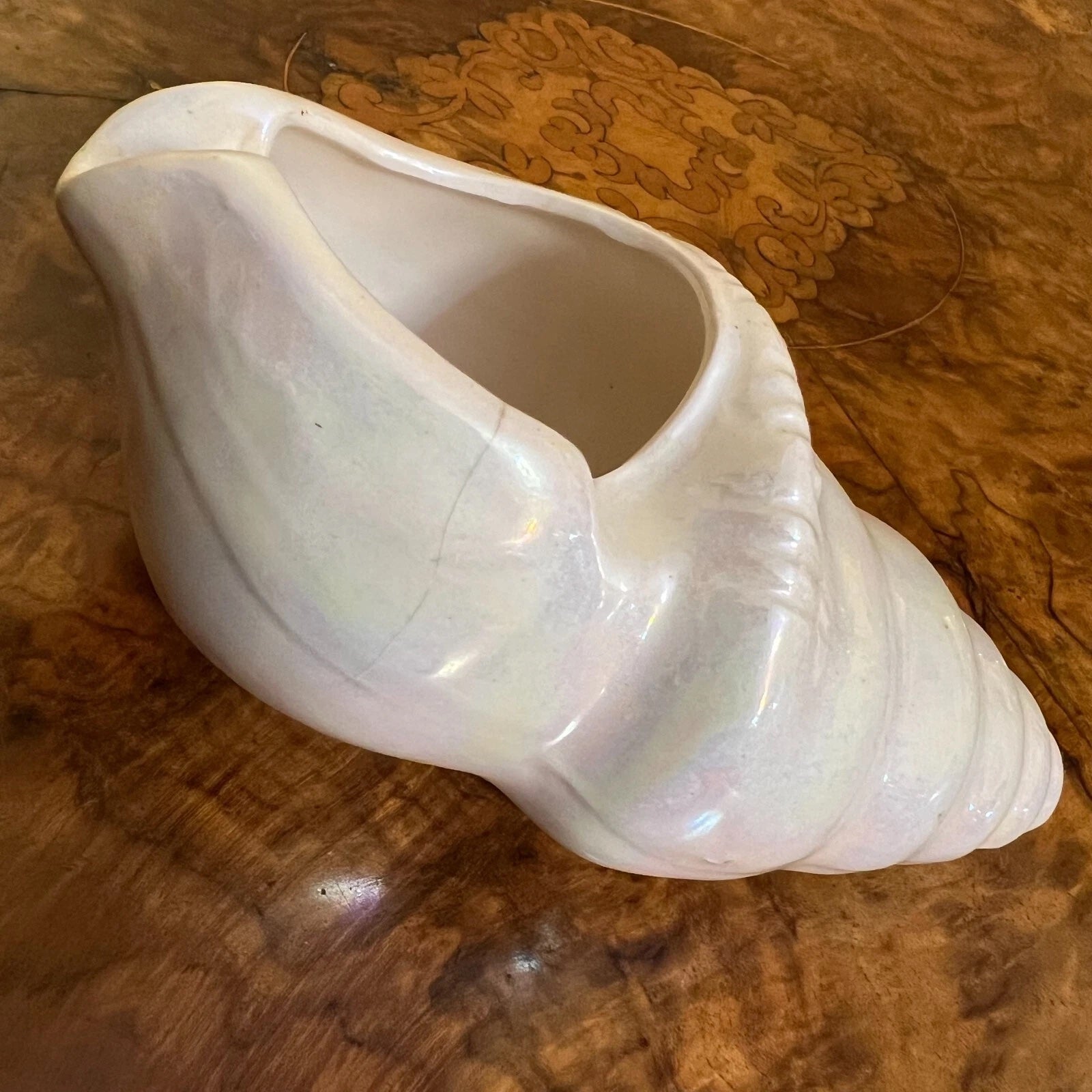 Shell Shaped Ornament Trinket