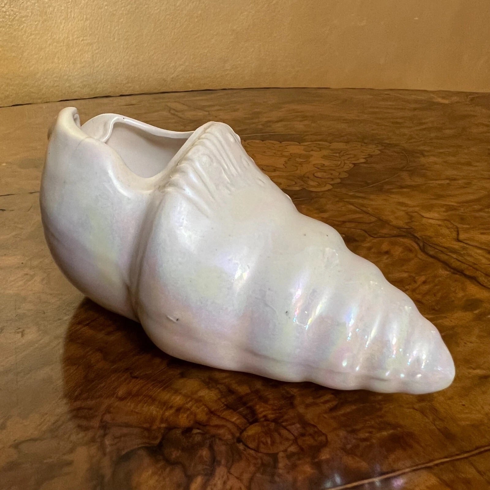 Shell Shaped Trinket