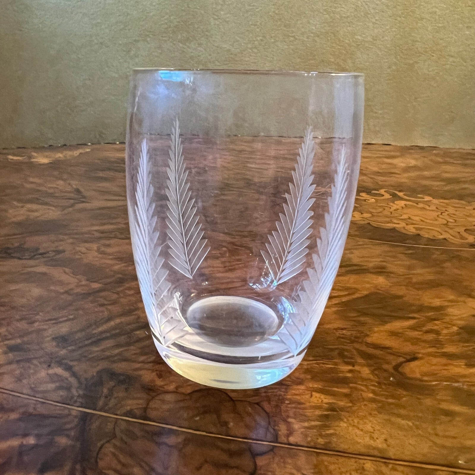 Stuart Crystal Woodchester Fern Pattern Glass Tumbler