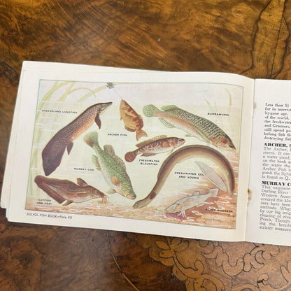 Vintage 1940s Solvol Fish Book
