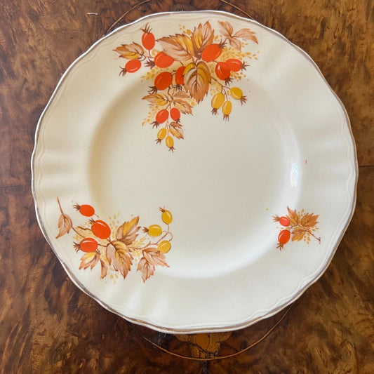 Vintage J_G Meakin Autumn Print Side Plate