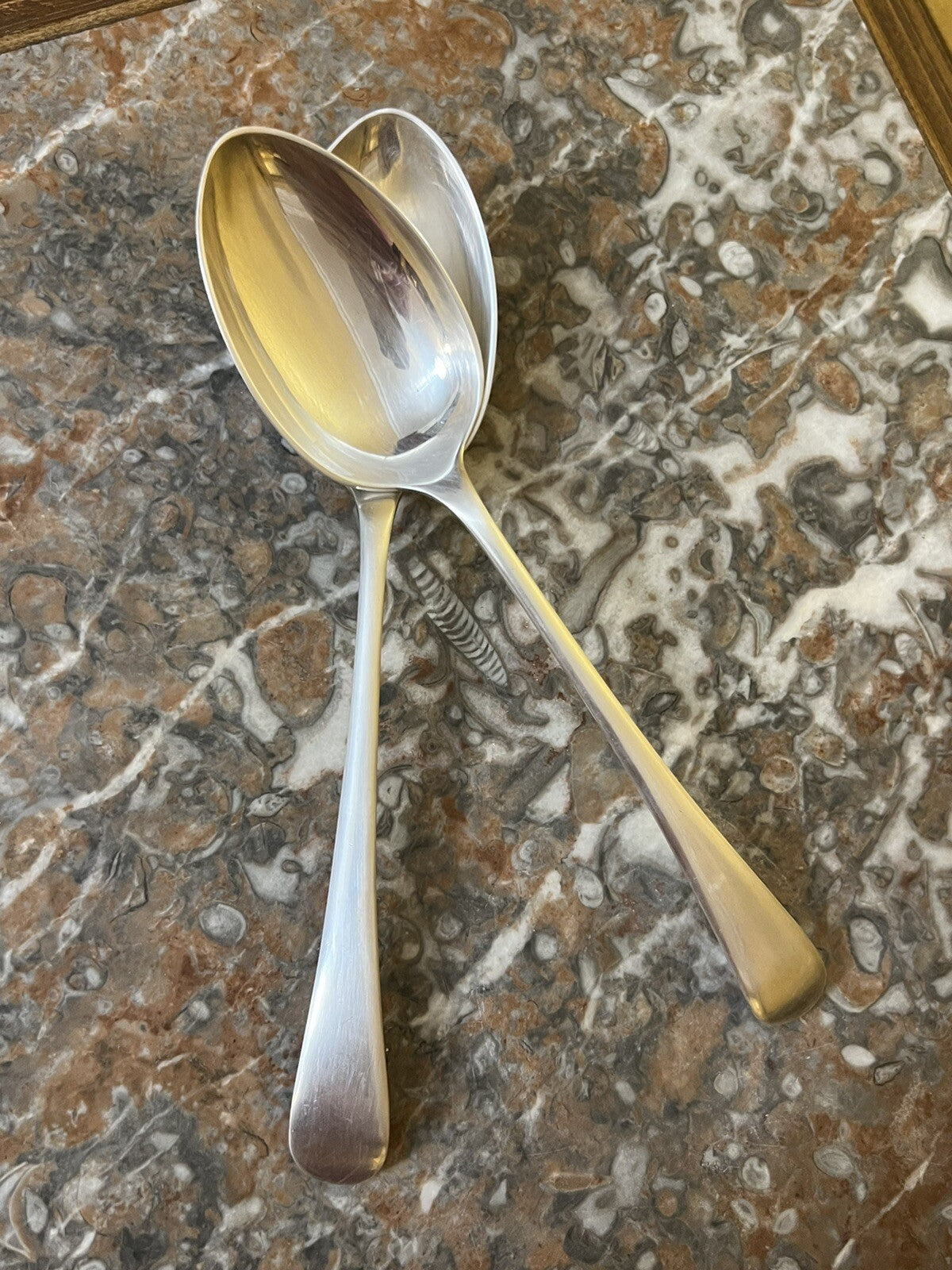 Vintage Silver Plated Large Spoons Pair