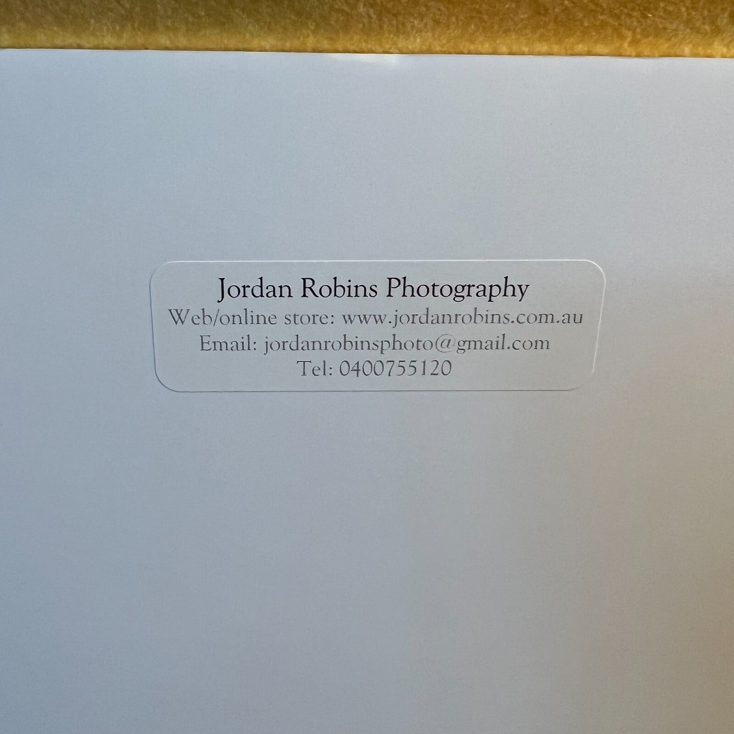 Whale By Jordon Robins 