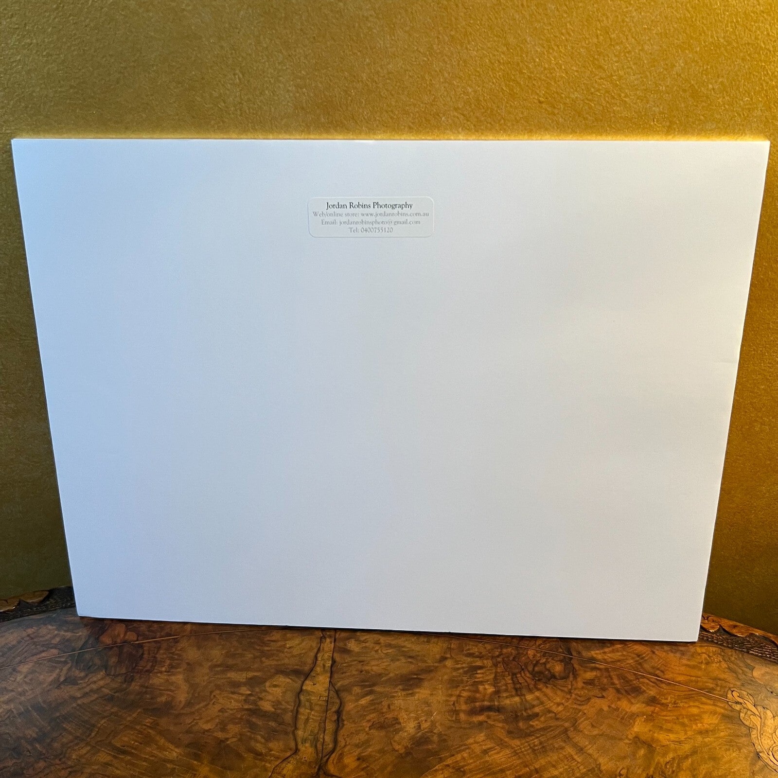 Whale Photography By Jordon Robins 