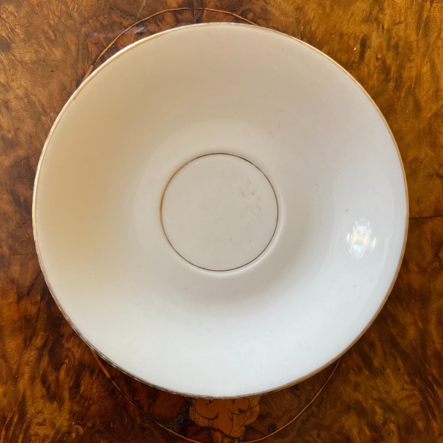 White & Gold Trim Tea Cup & Saucer